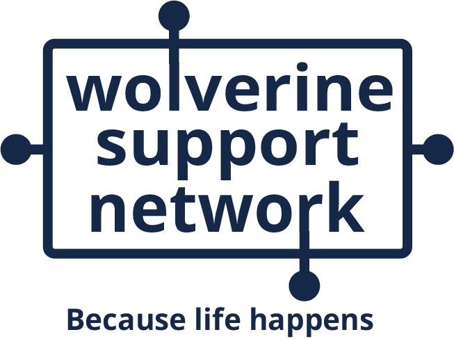 WSN Logo